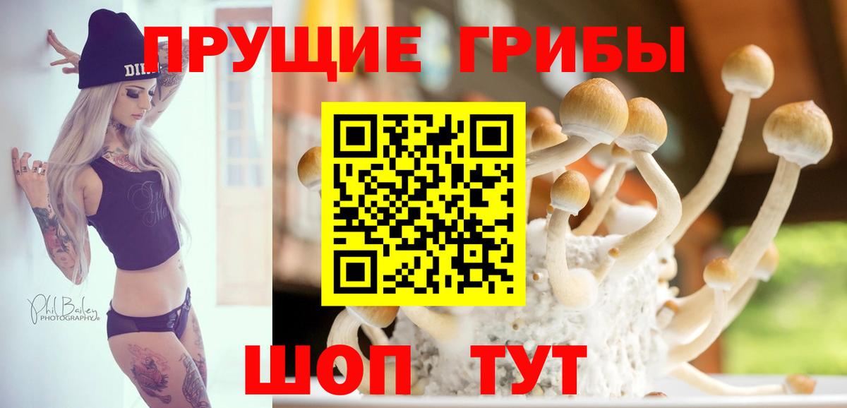 Галлюциногенные грибы мухоморы Железногорск